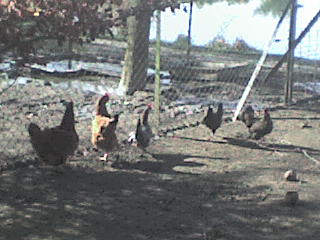 Pt1 DpouLe mdr